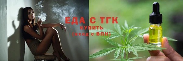 гашик Вяземский